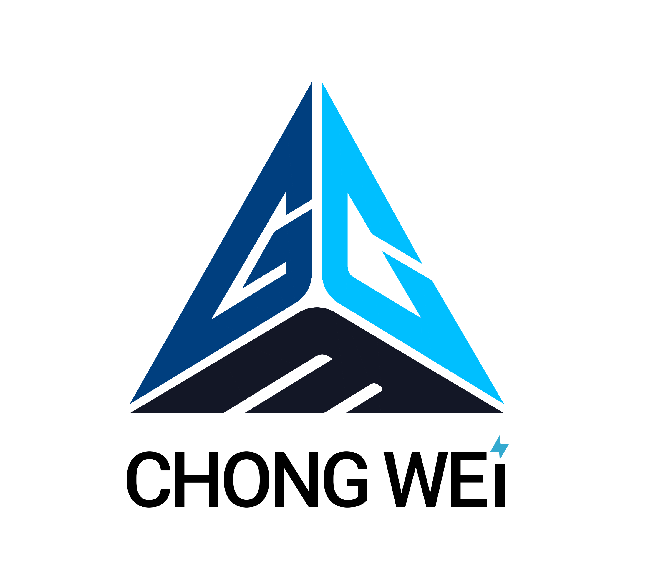 Chongwei Global (Shanghai) Technology Co., LTD Logo