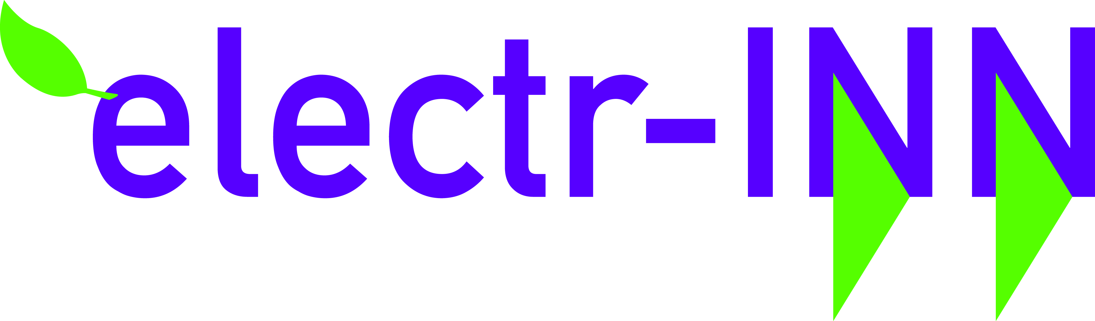 electr-INN  Logo