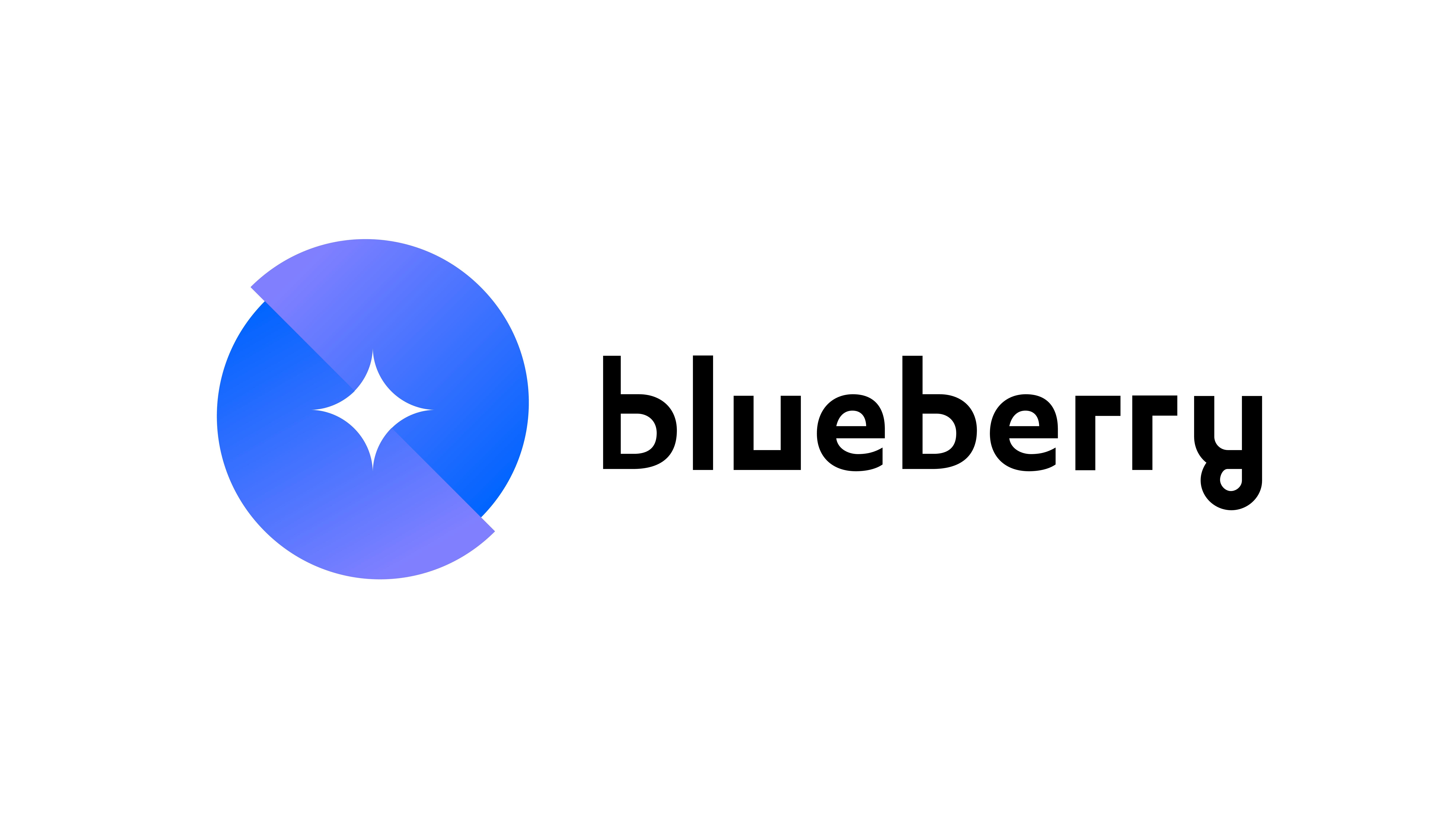 blueberry Logo